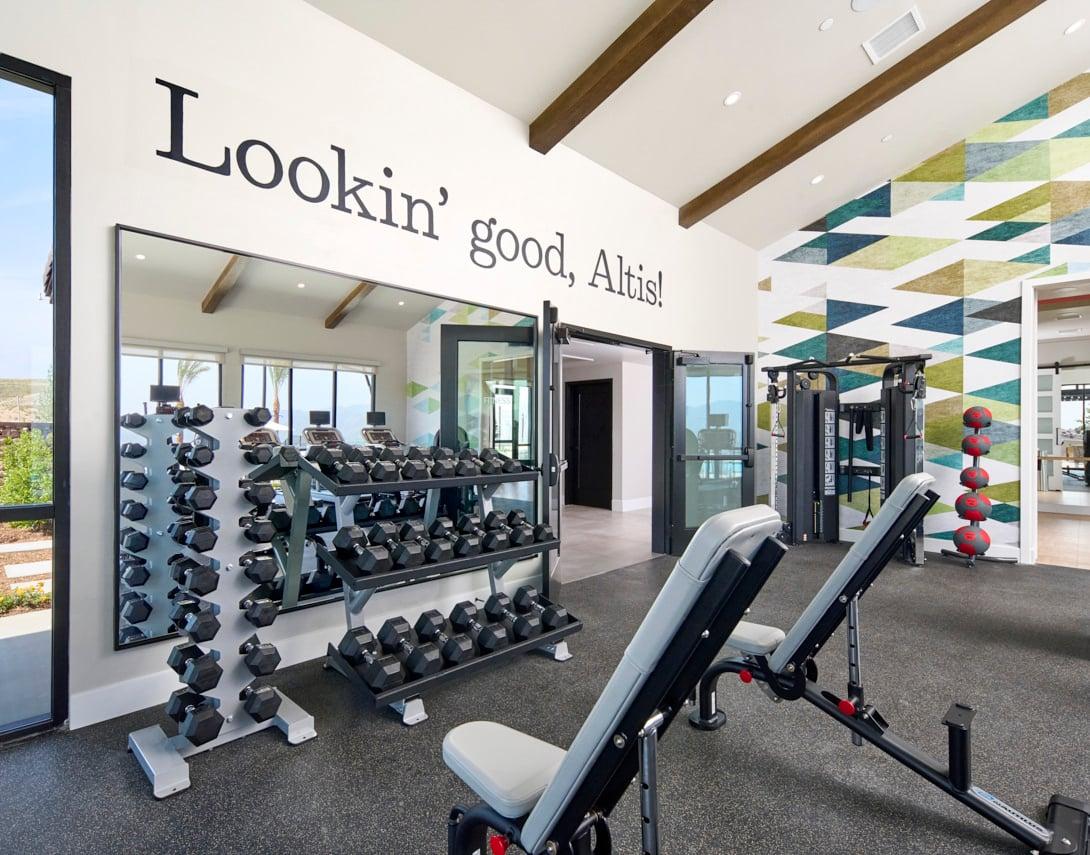 Free Weights At The Fitness Center