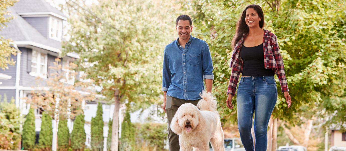 Family-Walking-Dog-1792-1380x604