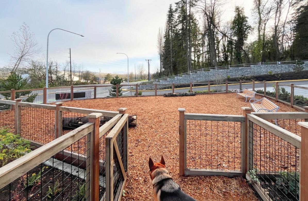 Willows_124_Redmond_Outdoor_Living_DogPark_2-1