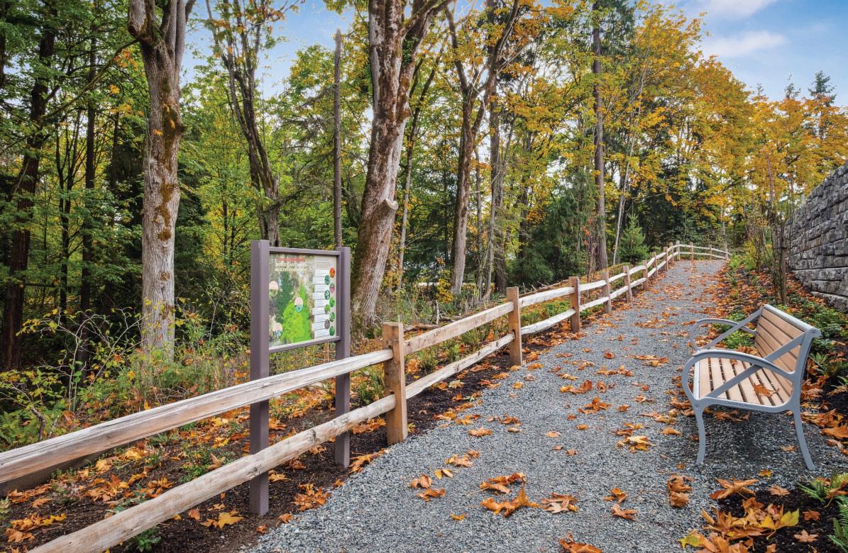 Willows_124_Redmond_Townhomes_Washington_Trails