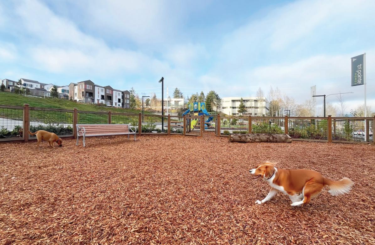 Willows_124_Redmond_Outdoor_Living_DogPark-1